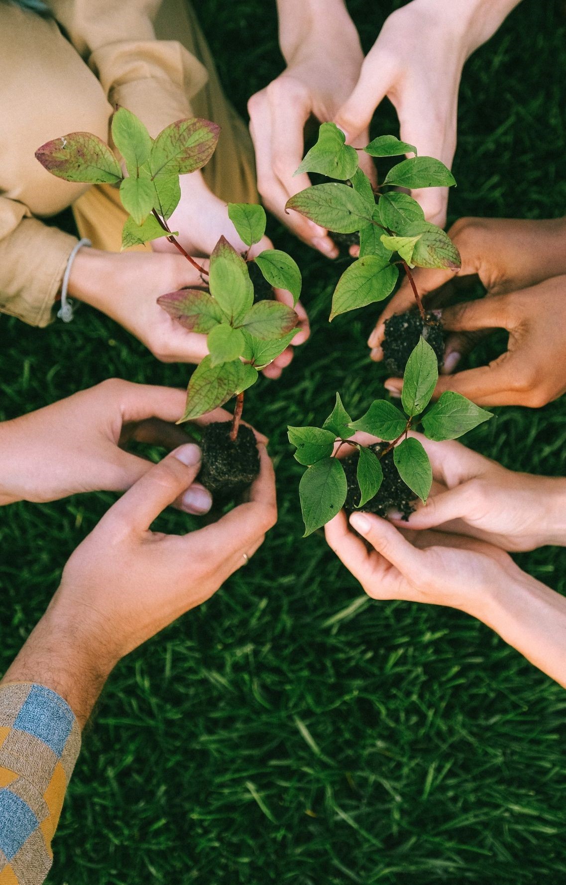 Biodiversity Conservation