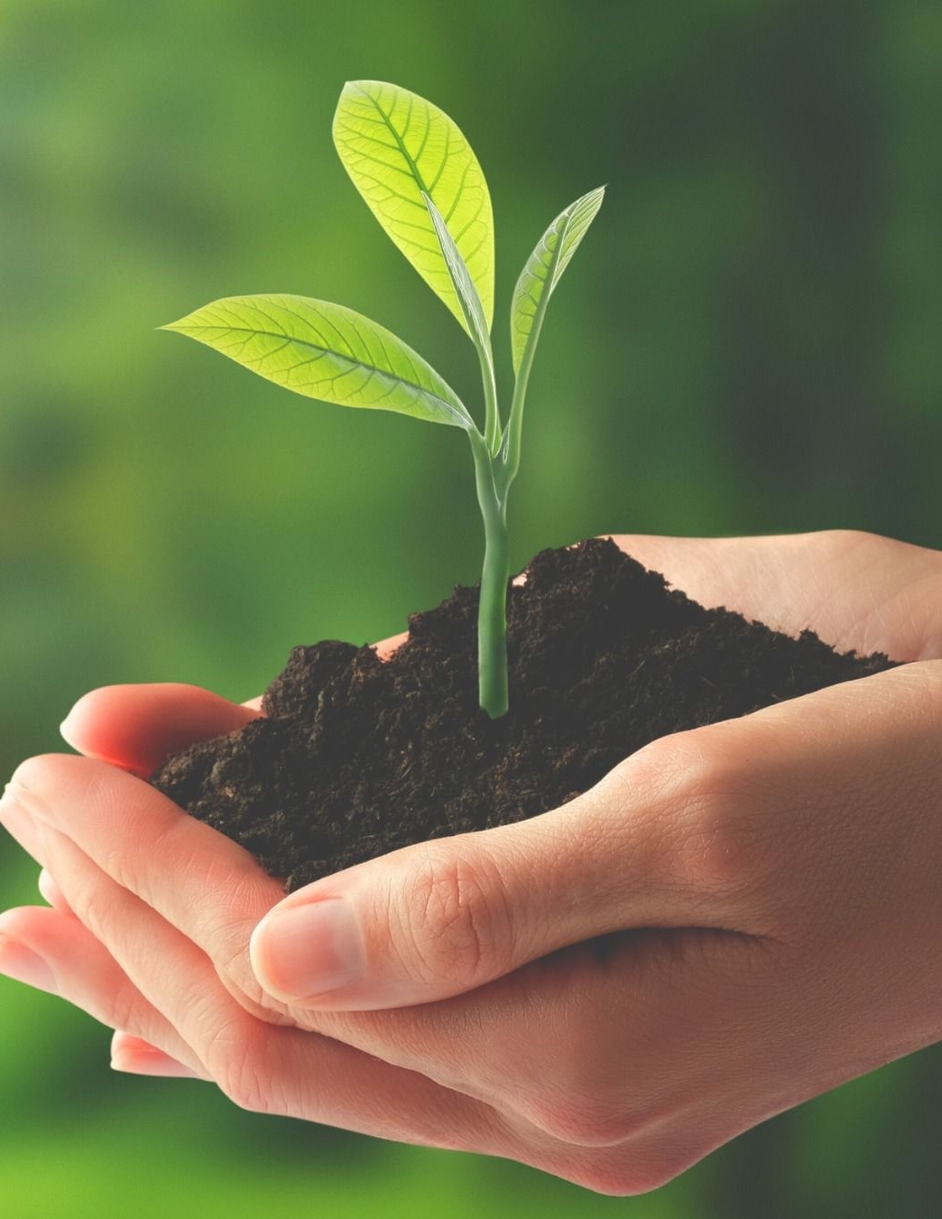 Biodiversity Insights